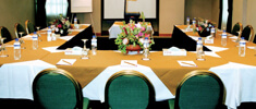 Meetings & Events